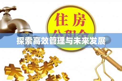 太康探索高效管理与未来发展