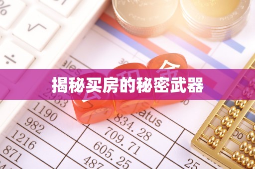 太康揭秘买房的秘密武器