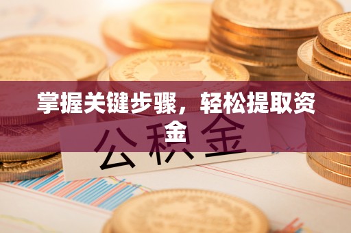 太康掌握关键步骤，轻松提取资金