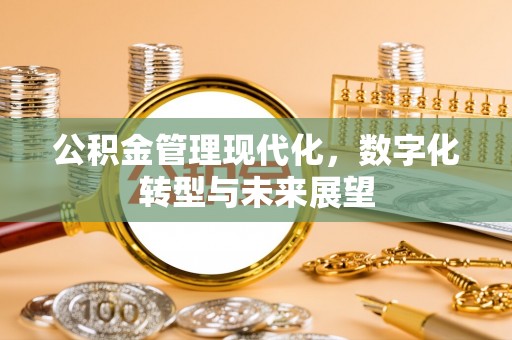 太康公积金管理现代化，数字化转型与未来展望