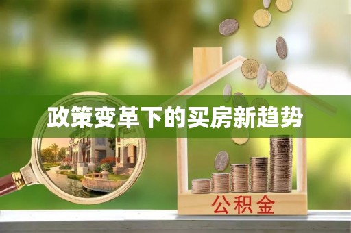 太康政策变革下的买房新趋势