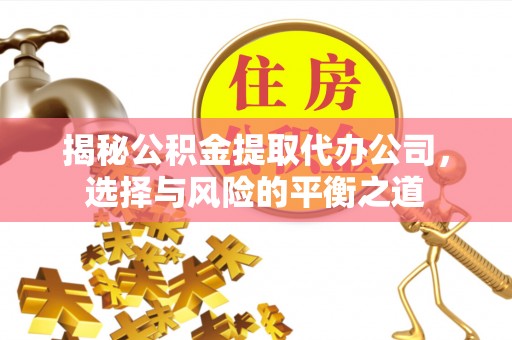 太康揭秘公积金提取代办公司，选择与风险的平衡之道