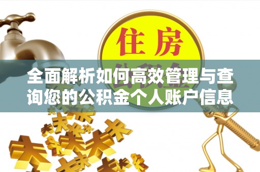 太康全面解析如何高效管理与查询您的公积金个人账户信息