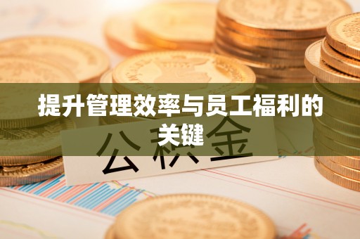 太康提升管理效率与员工福利的关键