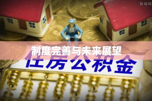 太康制度完善与未来展望