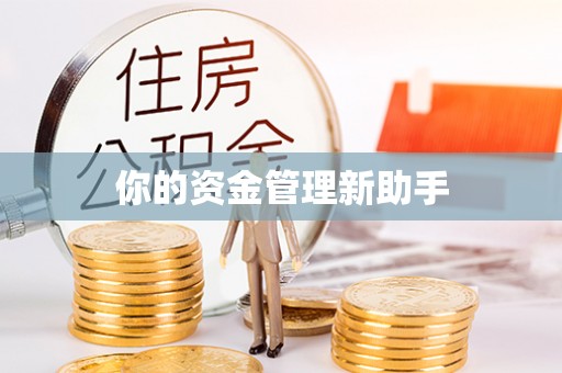 太康你的资金管理新助手