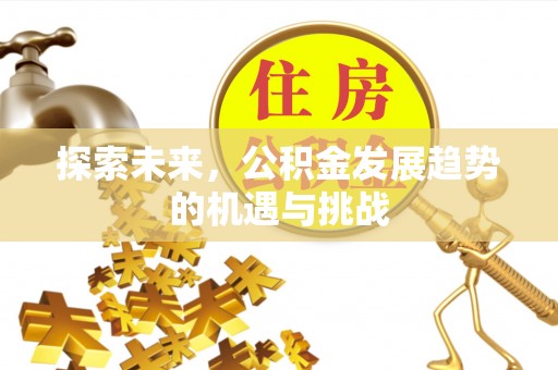 太康探索未来，公积金发展趋势的机遇与挑战