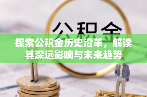 太康探索公积金历史沿革，解读其深远影响与未来趋势