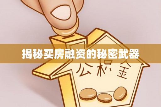 太康揭秘买房融资的秘密武器