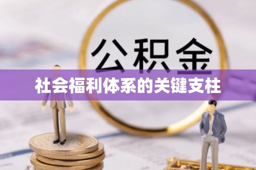 太康社会福利体系的关键支柱