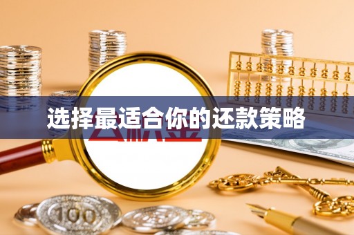 太康选择最适合你的还款策略