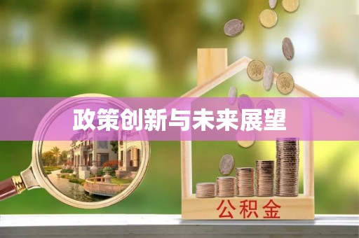 太康政策创新与未来展望