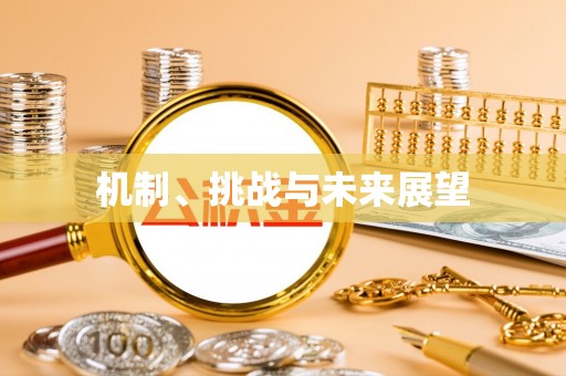太康机制、挑战与未来展望